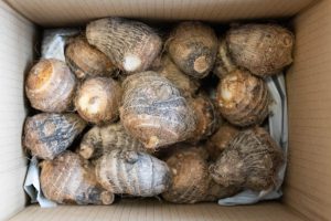 里芋　土垂れ　箱　221209